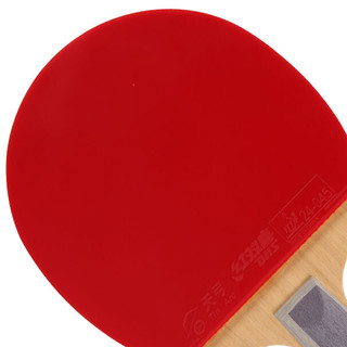 DHS 红双喜 TB6 乒乓球拍 红色 直拍