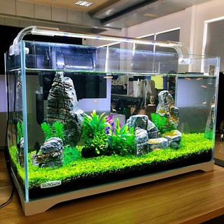 森森鱼缸生态水草缸小型超白玻璃热带鱼水族箱迷你桌面金鱼缸350裸缸35cm长 报价价格评测怎么样 什么值得买 森森鱼缸生态水草缸小型超白玻璃热带鱼水族箱迷你桌面金鱼缸350裸缸35cm长 报价价格评测怎么样 什么值得买