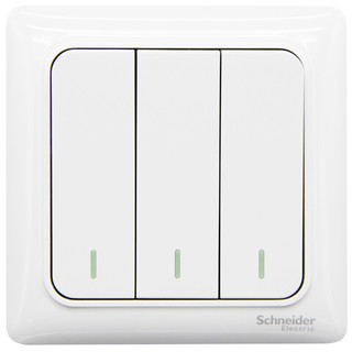 Schneider Electric 施耐德电气 Brillyn睿意系列 开关