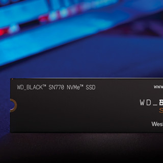 Western Digital 西部数据 SN770 NVMe M.2 固态硬盘 2TB（PCI-E4.0）
