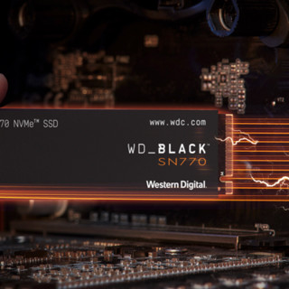 Western Digital 西部数据 SN770 NVMe M.2 固态硬盘 2TB（PCI-E4.0）