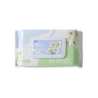 jianhe 简禾 湿厕纸 40片