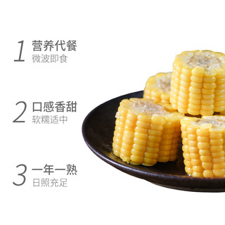 穗康 非转基因黄糯粘玉米棒真空包装6支五谷杂粮零食早餐鲜食玉米