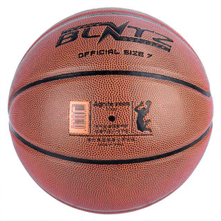 Agnite 安格耐特 PVC篮球