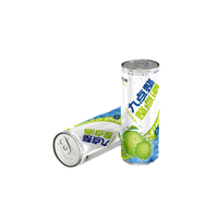九点整 整点酒 青梅气泡酒 沁爽青梅味 330ml*8瓶
