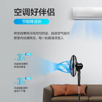 AIRMATE 艾美特  FS4066T2-5 16寸 落地扇