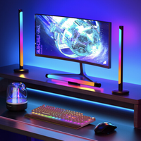 爱耐特 桌面款RGB氛围灯（两支装）