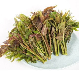 飞犇 香椿芽 1kg