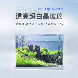 精晶 Jing 超白鱼缸40 30 30cm 带底座裸缸客厅造景桌面生态小型水草缸 报价价格评测怎么样 什么值得买