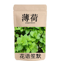 夏季花草种子 薄荷种子 阳台室内盆栽花卉种子薄荷室外多年生四季播种易种活 留兰香薄荷种子 留兰香薄荷5克（约500粒）可播1平方米