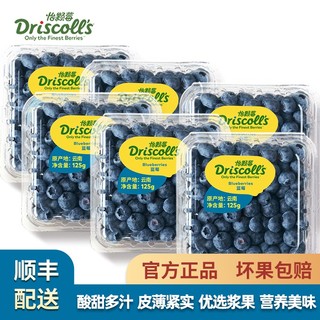 Driscoll's怡颗莓 云南蓝莓中果约125g/盒 6盒