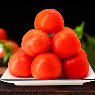 GREER 绿行者 现摘西红柿5斤 新鲜采摘 健康轻食 孕妇可吃