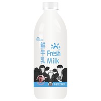 限地区、PLUS会员：TERUN 天润 巴氏杀菌鲜牛奶 950ml