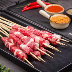 欧因精选牛肉牛肉串60串