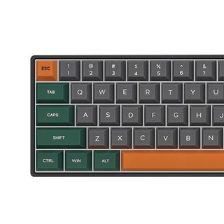 SKYLOONG GK68 68键 有线机械键盘 罗兰加洛斯 佳达隆G茶Pro轴 RGB