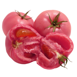 黔阳 米易沙瓤西红柿 净重5斤