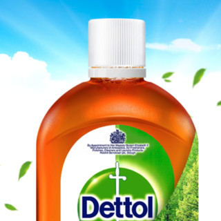 Dettol 滴露 消毒液 500ml*2瓶 松木香