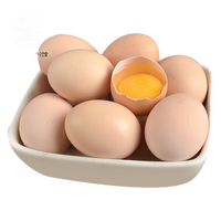CHENGNANBAOHUA 城南堡花 农家新鲜土鸡蛋 10枚 40-50g