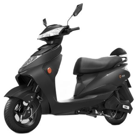 yadea雅迪欧逸电动自行车tdt2490z48v24ah锂电池白色