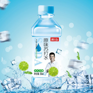 椰汁岛 果味苏打水  柠檬味 350ml*12瓶