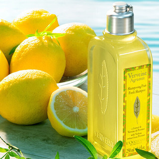 L'OCCITANE 欧舒丹 清新马鞭草洗发露 500ml