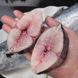 欧因马鲛鱼鲅鱼块鲅鱼片鲅鱼段6斤