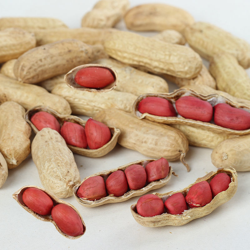 红皮花生 1斤
