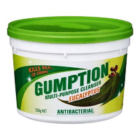 GUMPTION 多功能清洁膏 500g 桉树味