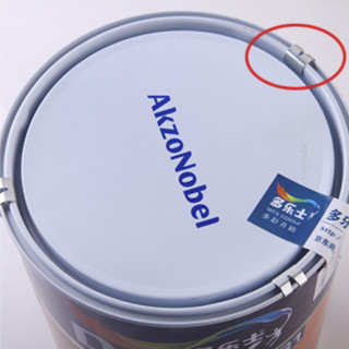 Dulux 多乐士 A991 家丽安净味漆 白色 5L*2桶