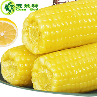 Corn God 玉米神 黄糯玉米棒 东北甜黏粘非转基因  8支≥1800g/包