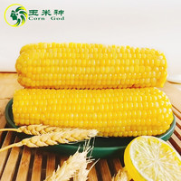 Corn God 玉米神 黄糯玉米棒 东北甜黏粘非转基因  8支≥1800g/包