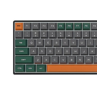 SKYLOONG GK96 96键 有线机械键盘 罗兰加洛斯 Cherry黑轴 RGB