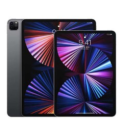 Apple 苹果 iPad Pro 11英寸平板电脑 2021年款(WLAN版/M1芯片)8+128
