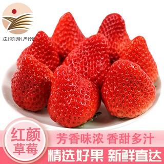 三果夫 丹东99红颜奶油草莓 3斤（单果20-30克）