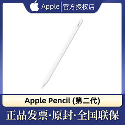 Apple 苹果 原装二代手写笔pencil2代笔适用于iPadpro2021/mini6