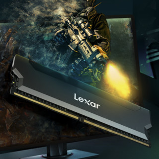 Lexar 雷克沙 冥王铠 DDR4 3200MHz 台式机内存 马甲条 黑色 16GB 8GBx2
