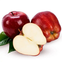 PLUS会员：砀宁果品 花牛苹果 净重4-4.5斤