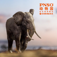 天猫U先：PNSO 动物园成长陪伴系列小模型 非洲草原象希克