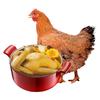 WENS 温氏 供港黄油鸡1.2kg 冷冻 农家土鸡母鸡走地鸡 慢养110天以上