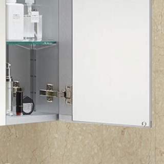 MOEN 摩恩 洛奇系列 浴室镜柜 银色 600mm