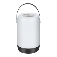 呆萌兔 手提小夜灯 暖光款