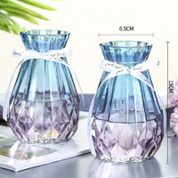 GOWKE 创意玻璃花瓶 2个装