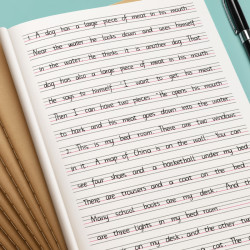 金枝叶纸品 金枝叶英语本16k小学生三年级初中生英文抄写四线三格作业本子统一牛皮纸练习薄3加厚标准数学作文本中学生语文批发多少钱 什么值得买