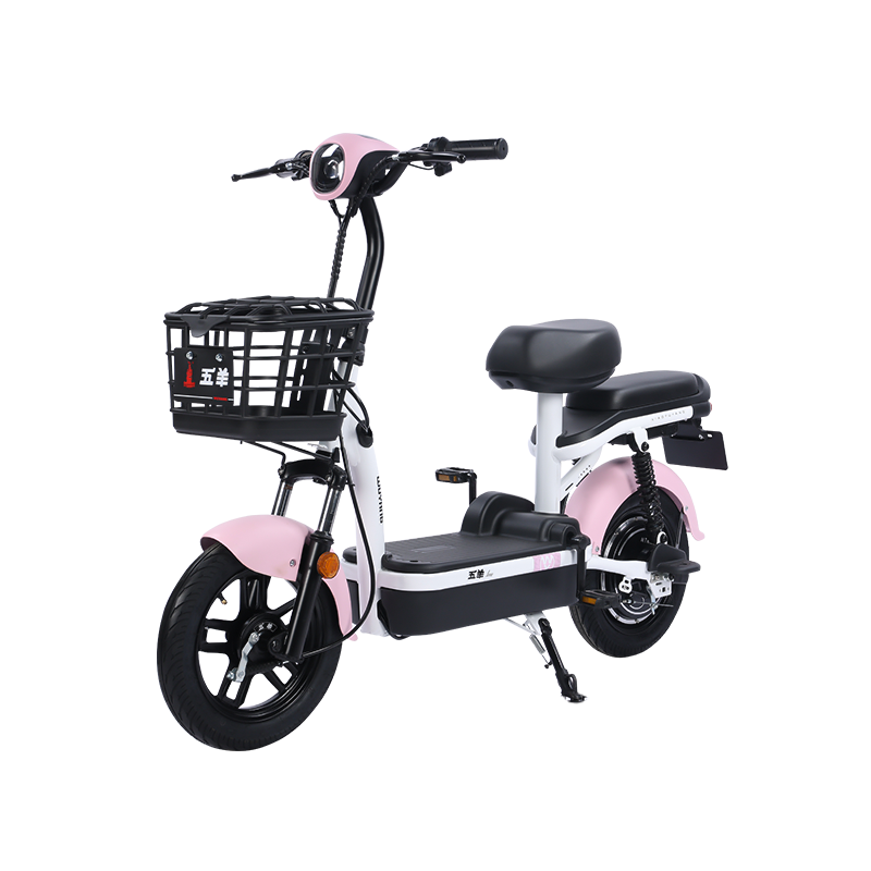 yadea雅迪欧逸电动自行车tdt2490z48v24ah锂电池白色