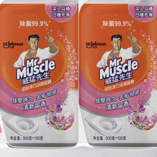 Mr Muscle 威猛先生 深层净力洁厕嗜喱 600g*2瓶 璀璨花舞