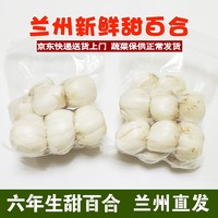 小马乐活 兰州鲜甜小百合(12-15颗)250g*2袋