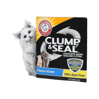 ARM&HAMMER 艾禾美 蓝标膨润土猫砂 12.7kg