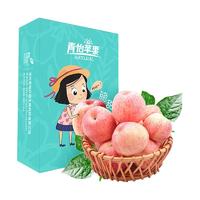 青怡 洛川苹果 超大果 单果果重260g+ 3.1kg 礼盒装
