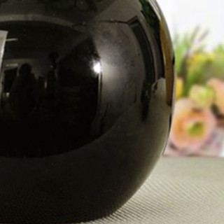 宏赫 简约圆球花瓶 黑色 含2束豆芽
