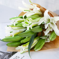 省48 2元 鲜花 云南直发香水百合鲜花水养真花花束白百合10个花头附保鲜剂多少钱 什么值得买
